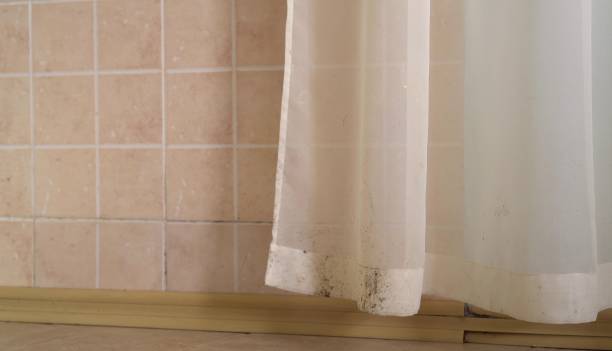 Best Residential Mold Inspection & Testing  in Santa Paula, CA