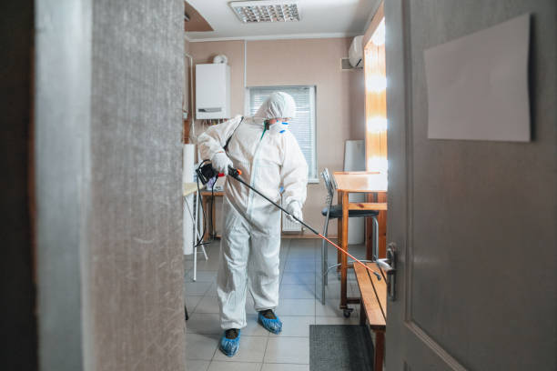 Best Asbestos and Lead Testing During Mold Inspection  in Santa Paula, CA