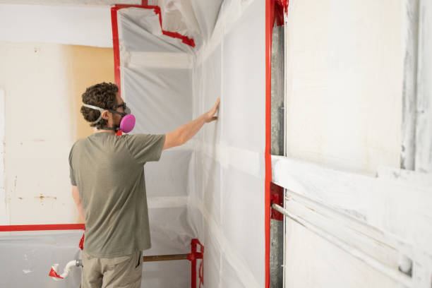 Reliable Santa Paula, CA Mold Removal Solutions