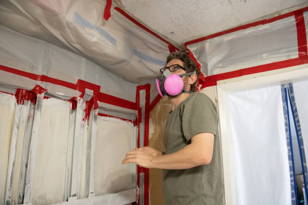 Best Real Estate Mold Inspection  in Santa Paula, CA