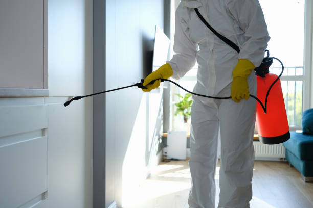 Best Asbestos and Lead Testing During Mold Inspection  in Santa Paula, CA