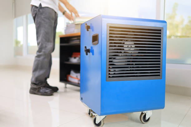 Best Mold Odor Removal Services  in Santa Paula, CA